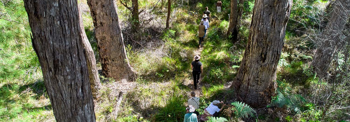 Bo Wong's Immersive Retreat in Western Australia - nature walk