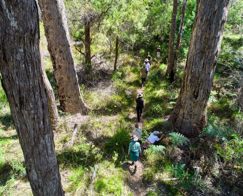 Bo Wong's Immersive Retreat in Western Australia - nature walk